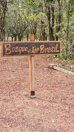 IMAGEM 8