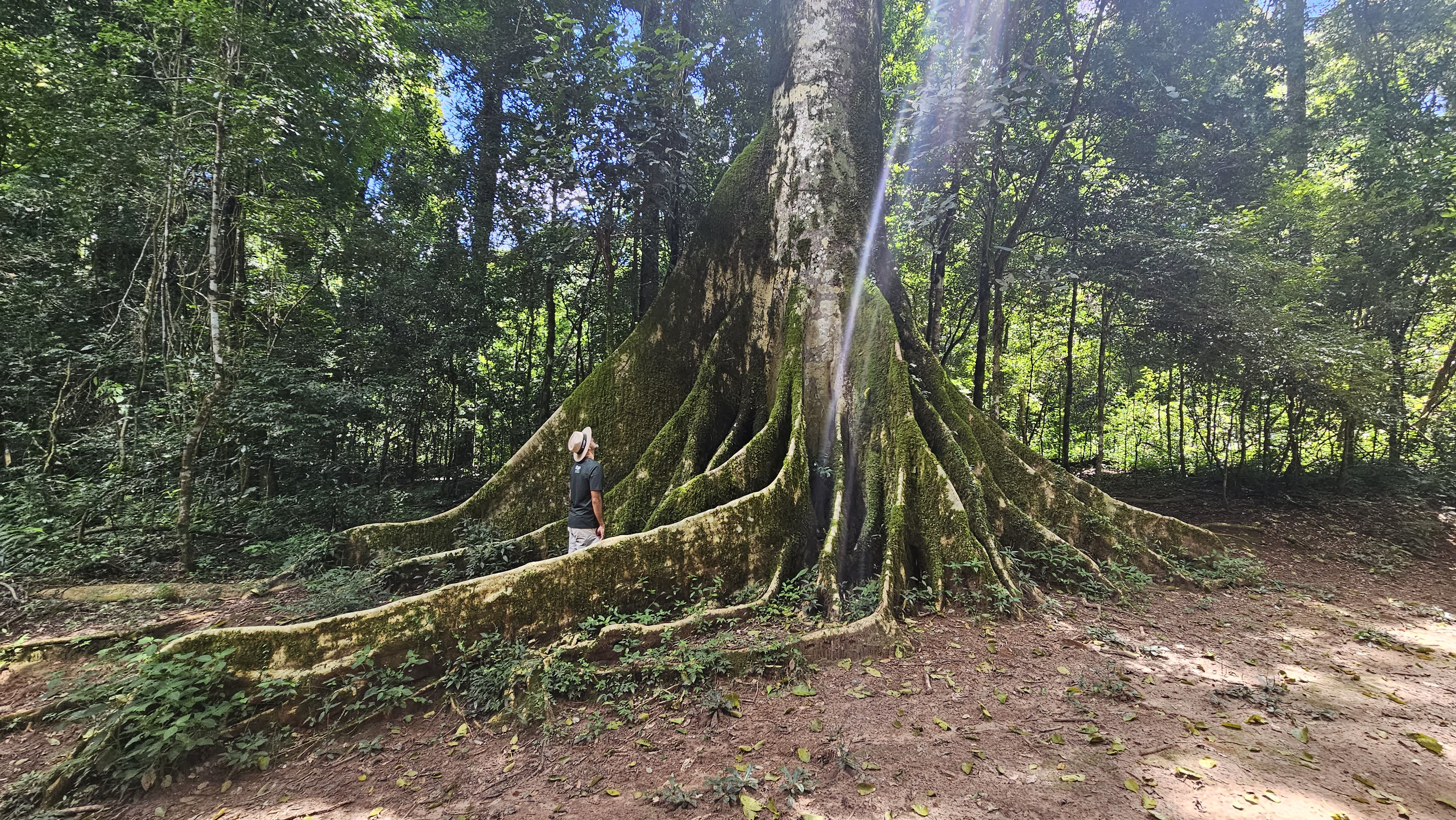 Fazenda Santa Cecília