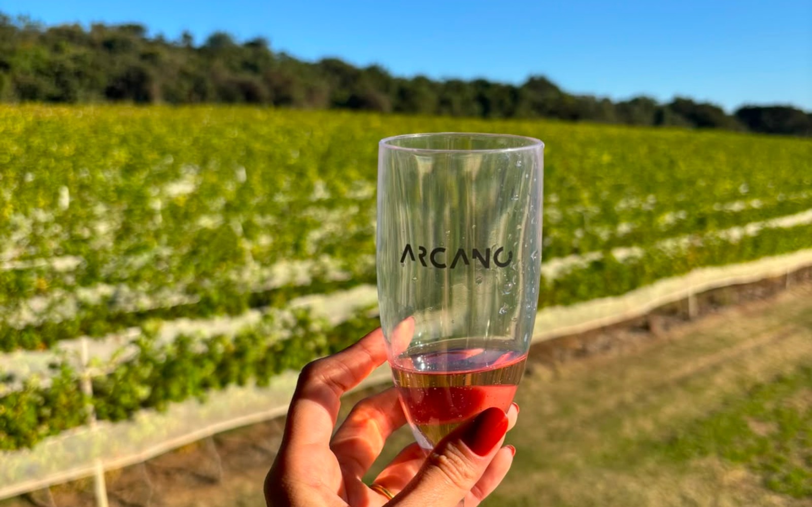 Arcano Vinícola